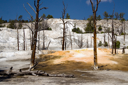 Upper Terraces Drive